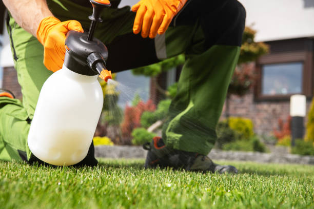 Best Affordable Pest Control Services  in Wellington, UT